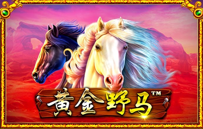 196体育官方网站下载